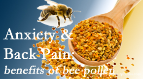Pensacola Spinal Rehab Center shares info on the benefits of bee pollen on cognitive function that may be impaired when dealing with back pain.