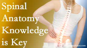 Pensacola Spinal Rehab Center understands spinal anatomy well – a benefit to everyday chiropractic practice!
