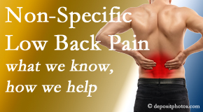Pensacola Spinal Rehab Center share the specific characteristics and treatment of non-specific low back pain. 
