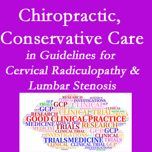 Pensacola chiropractic care for cervical radiculopathy and lumbar spinal stenosis is often ignored in medical studies and recommendations despite documented benefits. 