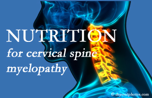 Pensacola Spinal Rehab Center presents the nutritional factors in cervical spine myelopathy in its development and management.