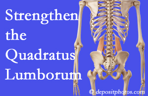 Pensacola chiropractic care proposes exercise recommendations to strengthen spine muscles like the quadratus lumborum as the back heals and recovers.
